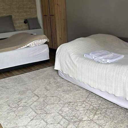 Benny & Bella Guest House Oradea Buitenkant foto